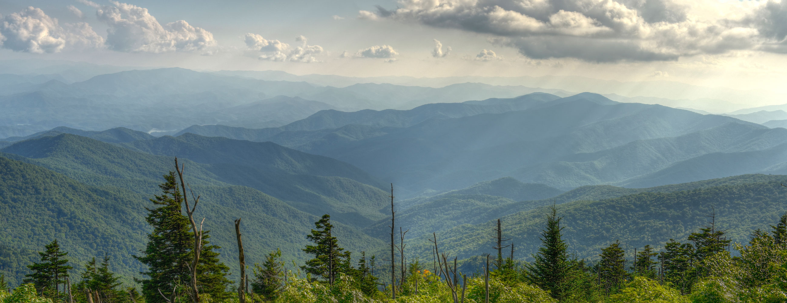 This is just a TEST for new vendor